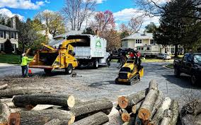 Reliable Mill Neck, NY Tree Removal and Landscaping Services Solutions